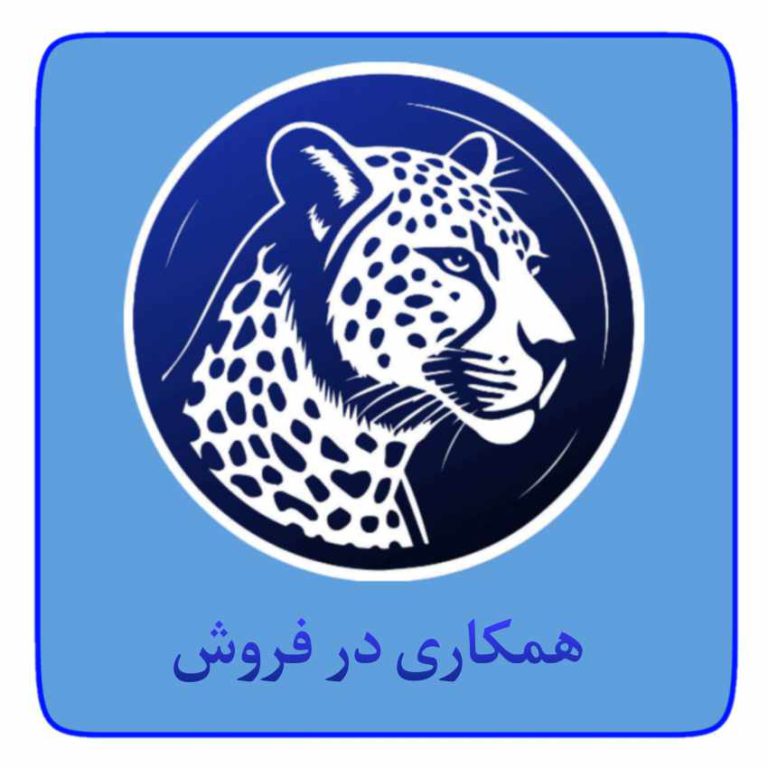 ربات انفجار دقیق